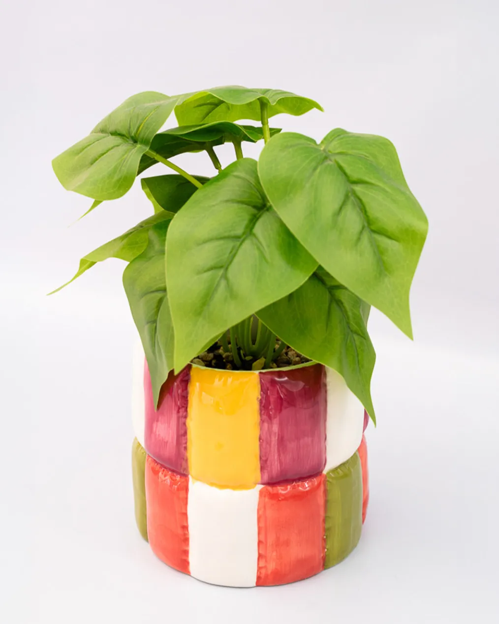 Colorblock Ceramic Planter