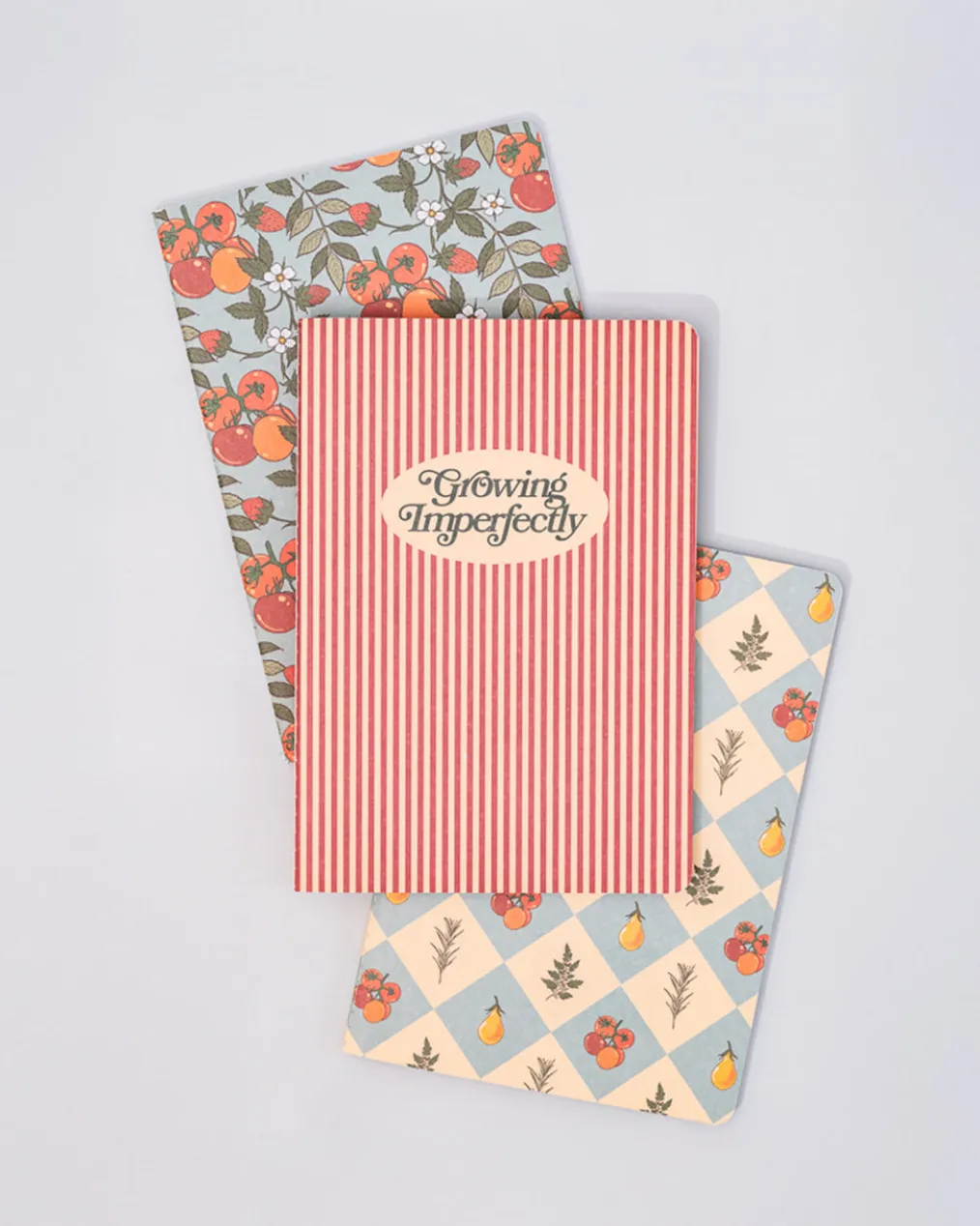 Hold That Thought Notebook Set - Growing Imperfectly