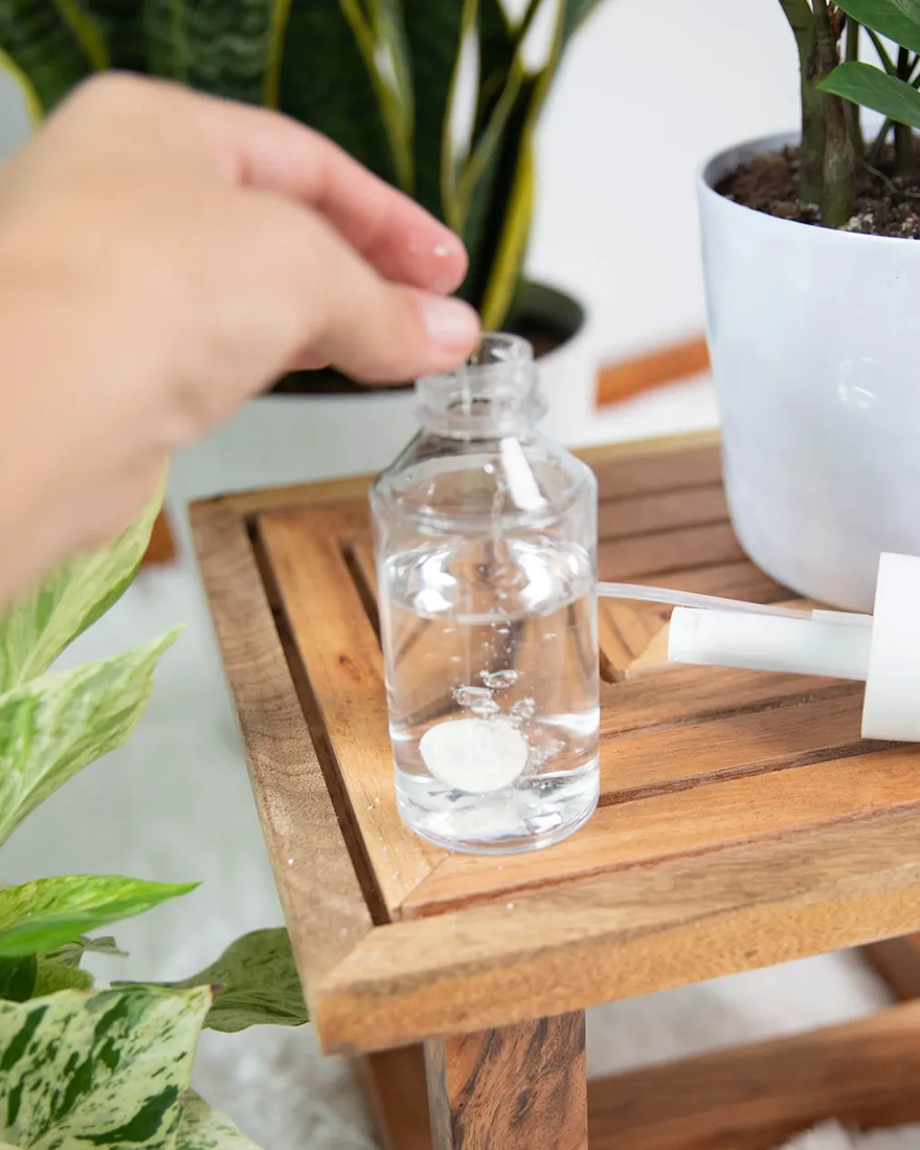 Instant Plant Protection - Natural Houseplant Pest Control Tablets