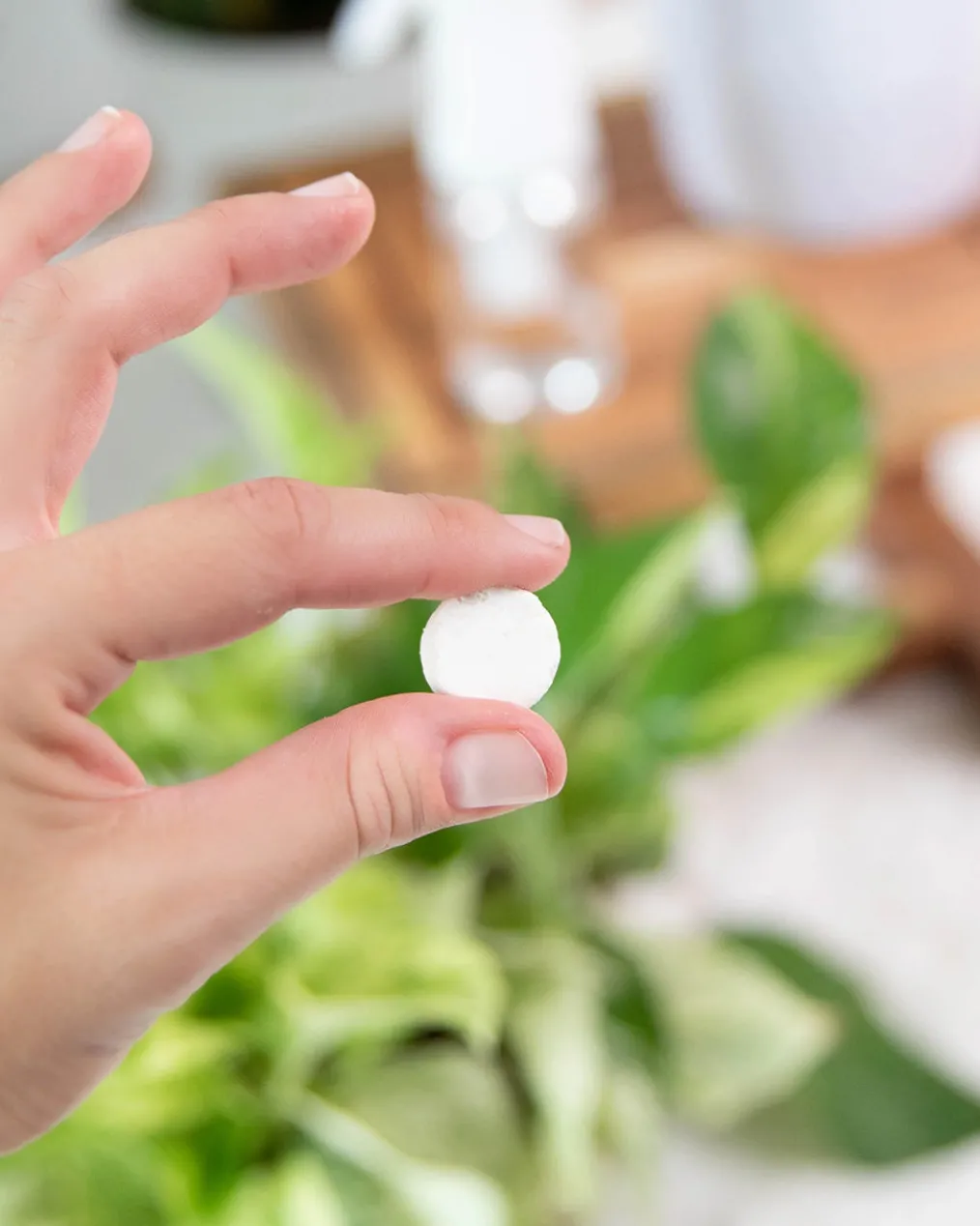 Instant Plant Protection - Natural Houseplant Pest Control Tablets