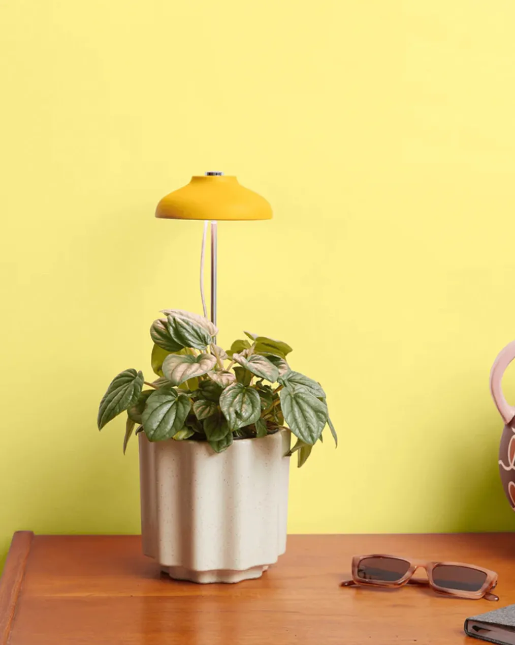 Instant Sun Extendable Grow Lamp