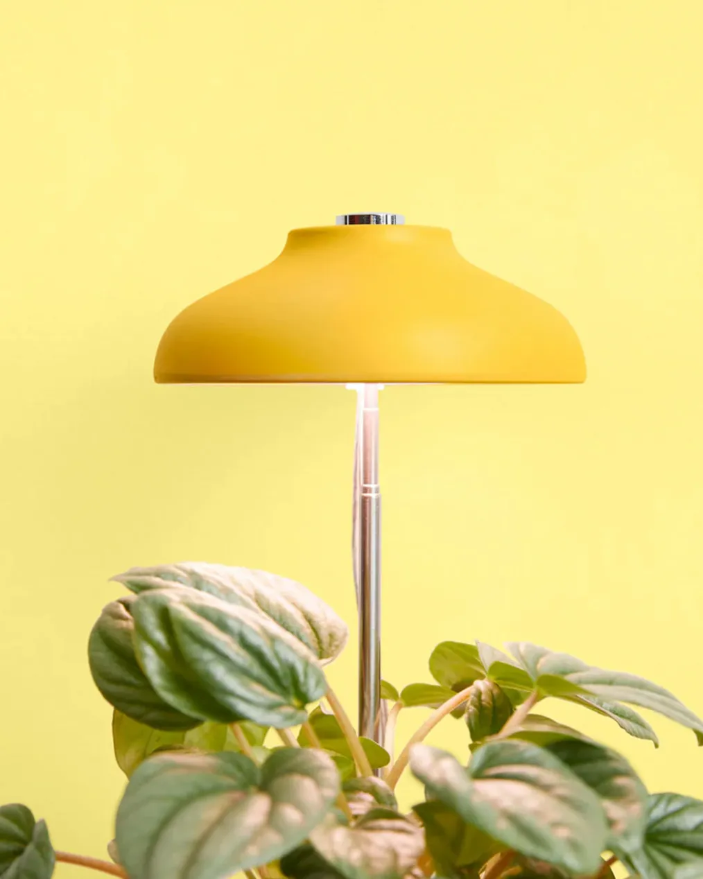 Instant Sun Extendable Grow Lamp