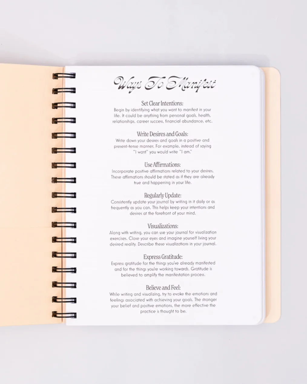 Manifestation Journal