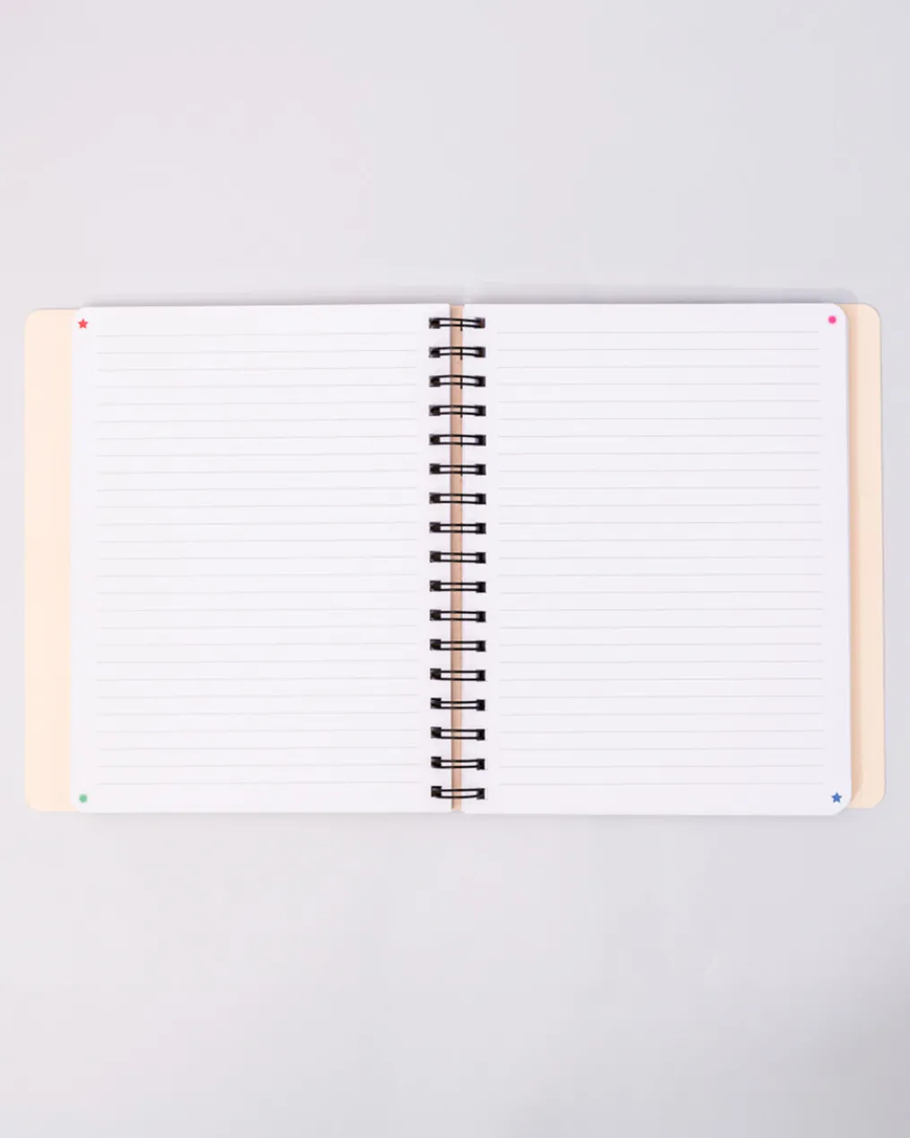 Manifestation Journal