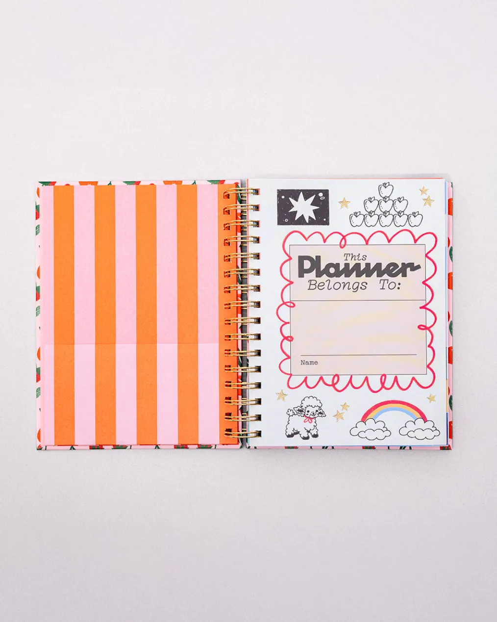 Medium 17-Month Academic Planner - Mid Century