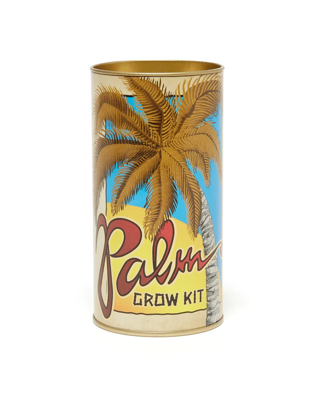 Palm Tree - Seed Grow Kit - Royal Palm