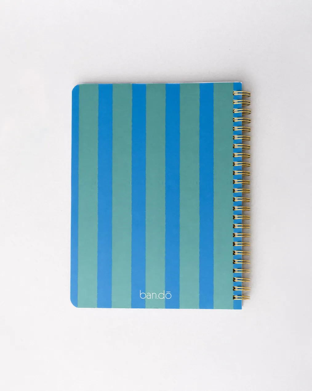 Rough Draft Mini Notebook - Before I Forget
