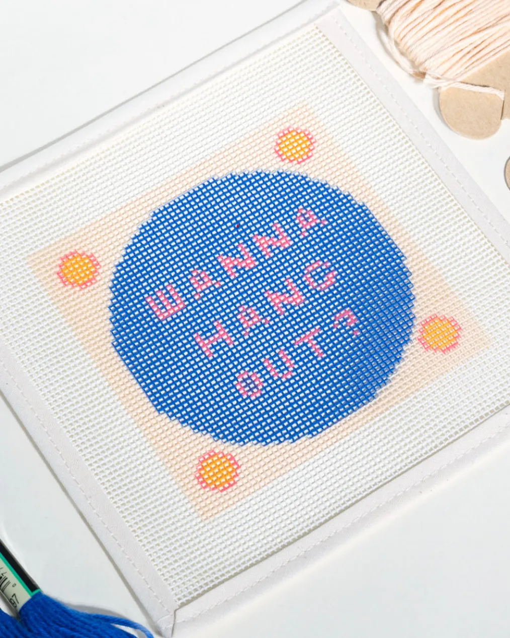 Wanna Hang Out? Needlepoint Kit
